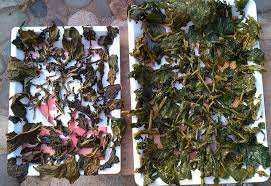 साग किनेर गुन्द्रुक बनाउँदै भुम्लु गाउँपालिका